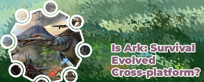 Ark play