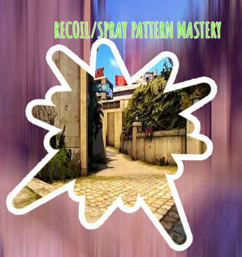 Play master csgo